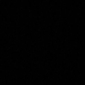 Meet your Posher, Paige